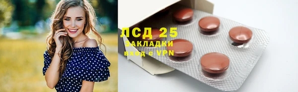 тгк Бородино