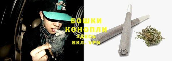 тгк Бородино