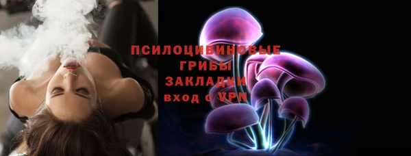 тгк Бородино