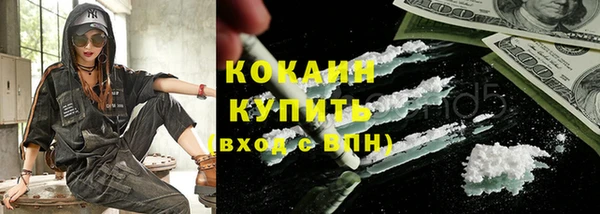 тгк Бородино