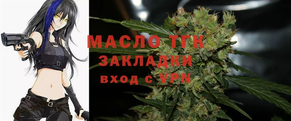 тгк Бородино