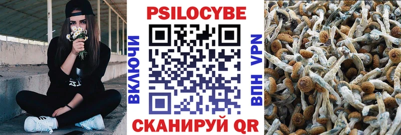 Псилоцибиновые грибы Psilocybine cubensis  Купить где  Снежинск 